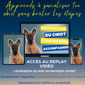 conférence socialisation chiot