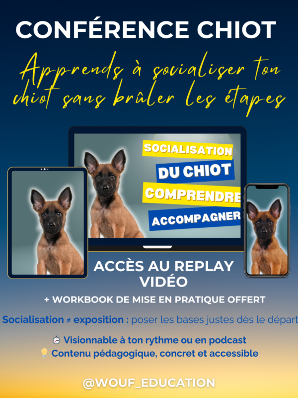 conférence socialisation chiot