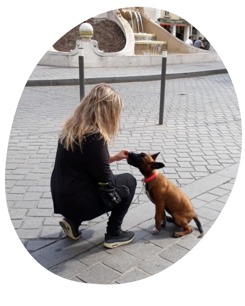 Éducateur canin chiot