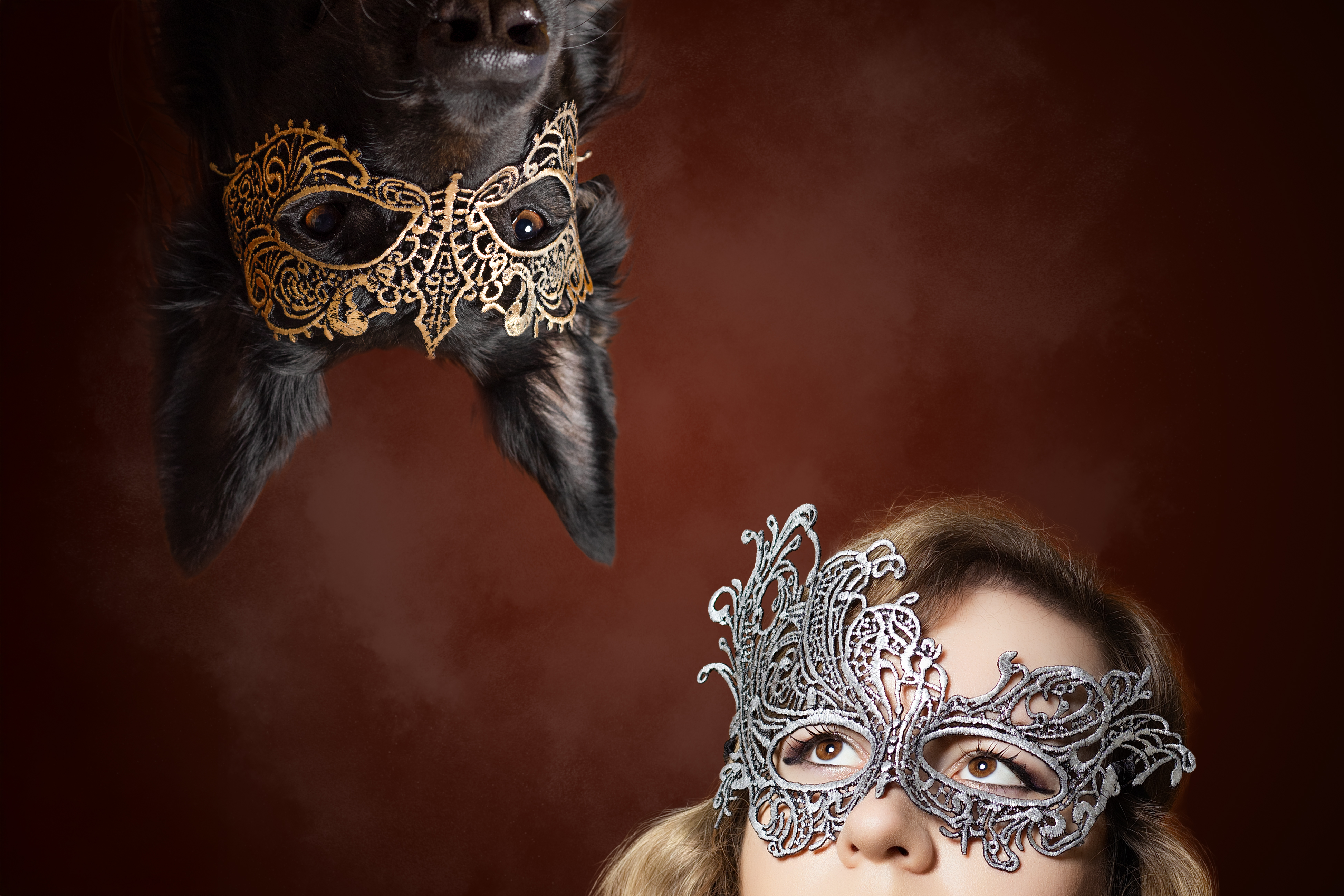 Bridgerton photographie Reims