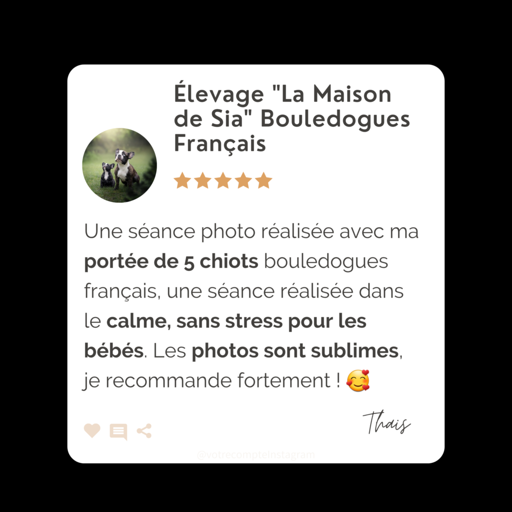 avis éducateur canin Reims