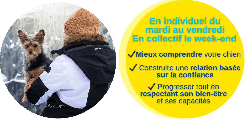 éducateur canin en méthode bienveillante travaillant le rappel avec un chien à Reims