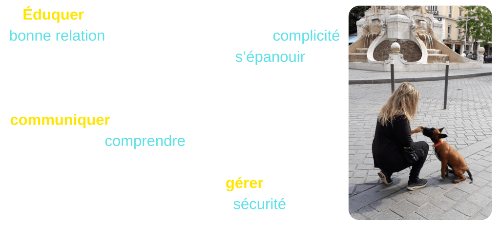 wouf éducation, éducateur comportementaliste canin et photographe à Reims Bétheny éducatrice canine travaillant l’éducation d’un chiot en ville à Reims