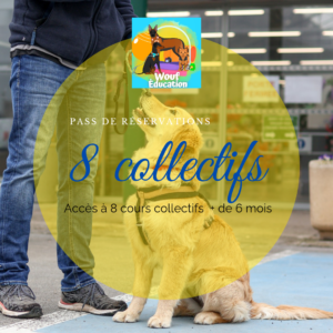wp-17765984907833004428394505393669 Pass 8 collectifs