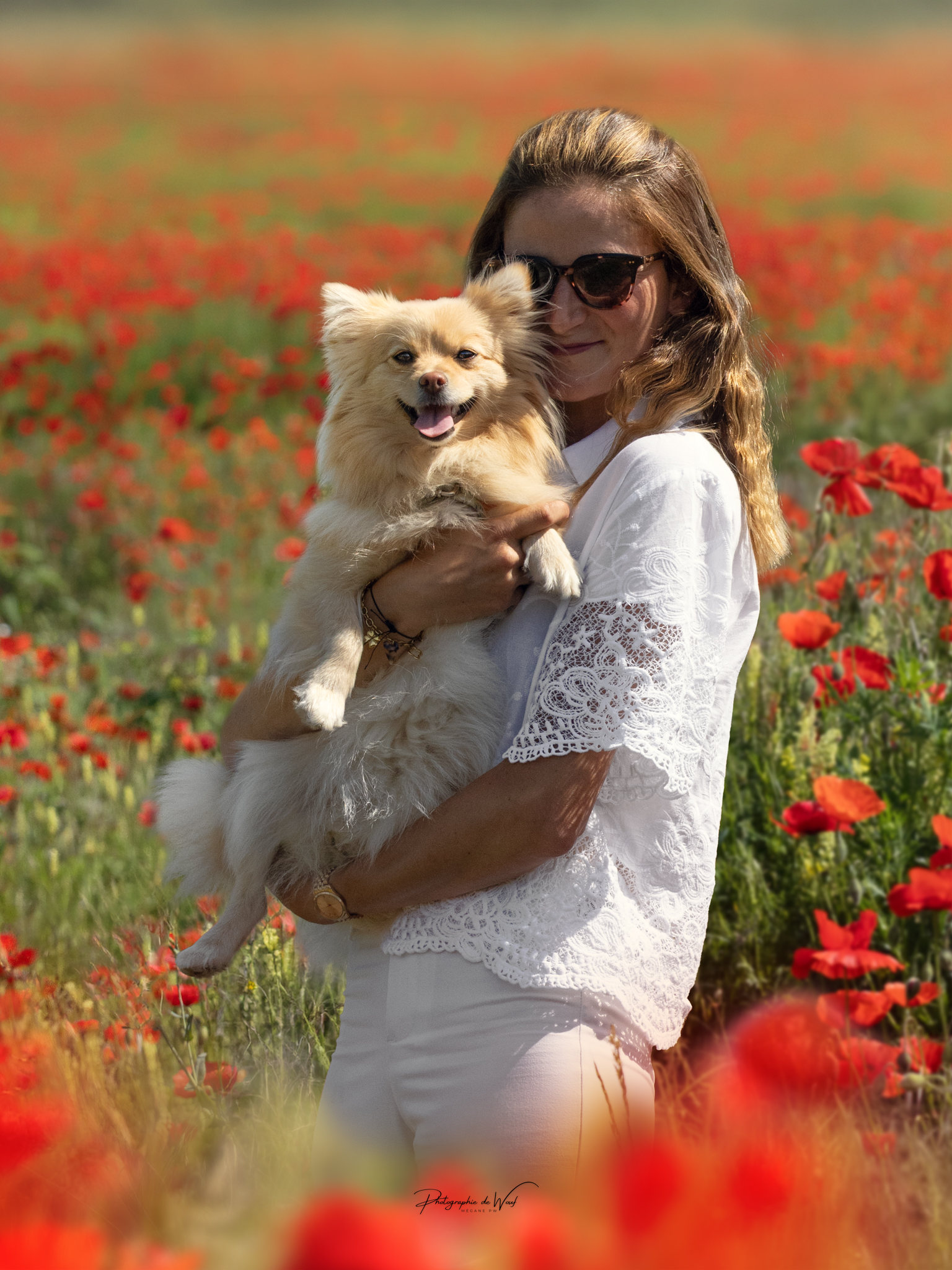 Photographie d'un spitz et sa maitresse dans un champs de coquelicot à Reims, photographiés par une photographe professionnelle