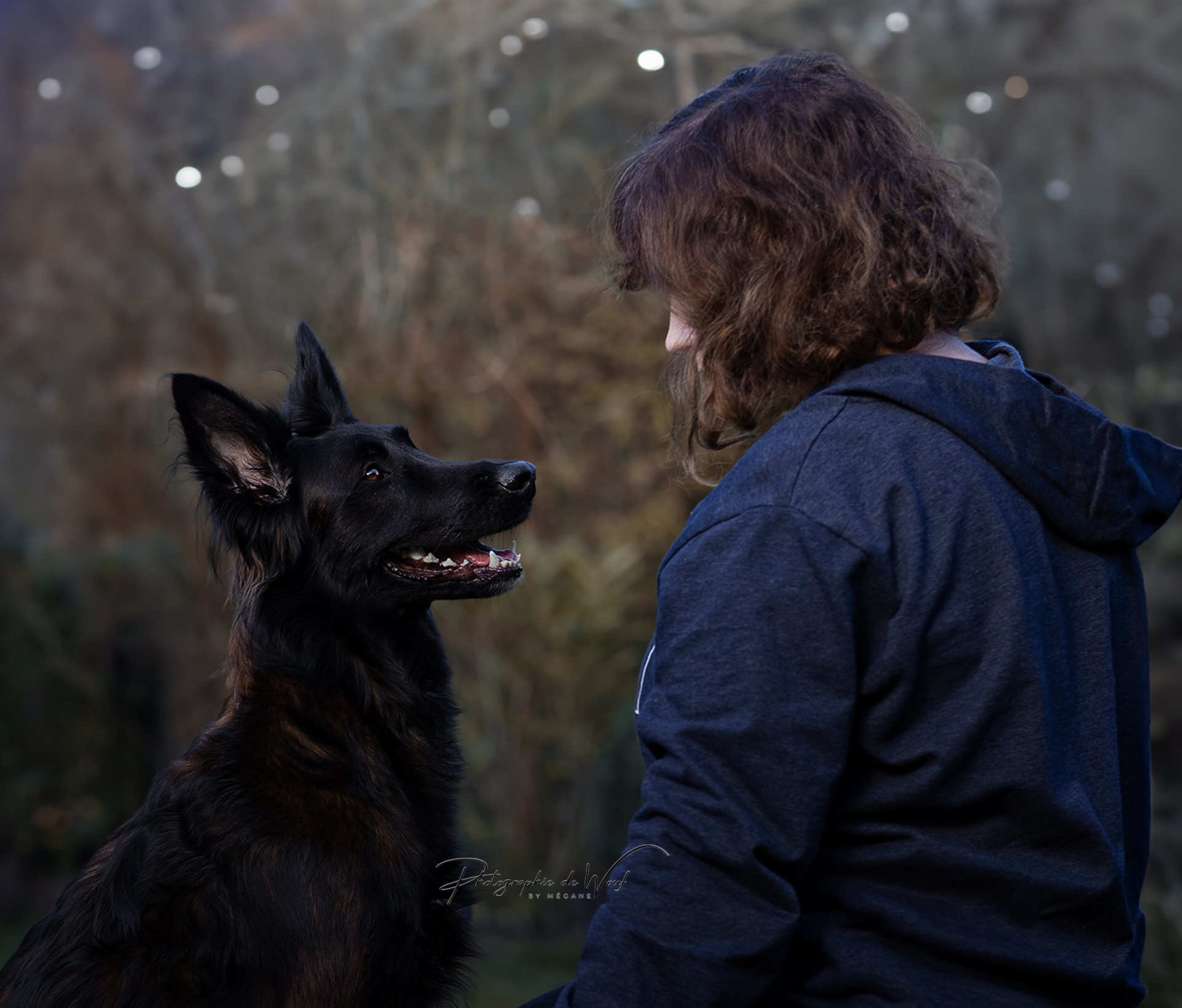 Le chien face à la maladie de son humain